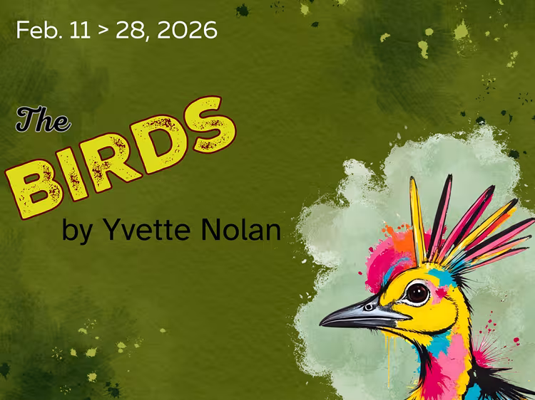Show poster for The Birds by Yvette Nolan. A colourful bird head in the lower right corner.